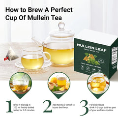 BreatheEasy™ Mullein Tea Bags – Lung Detox & Respiratory Support with Elderberry